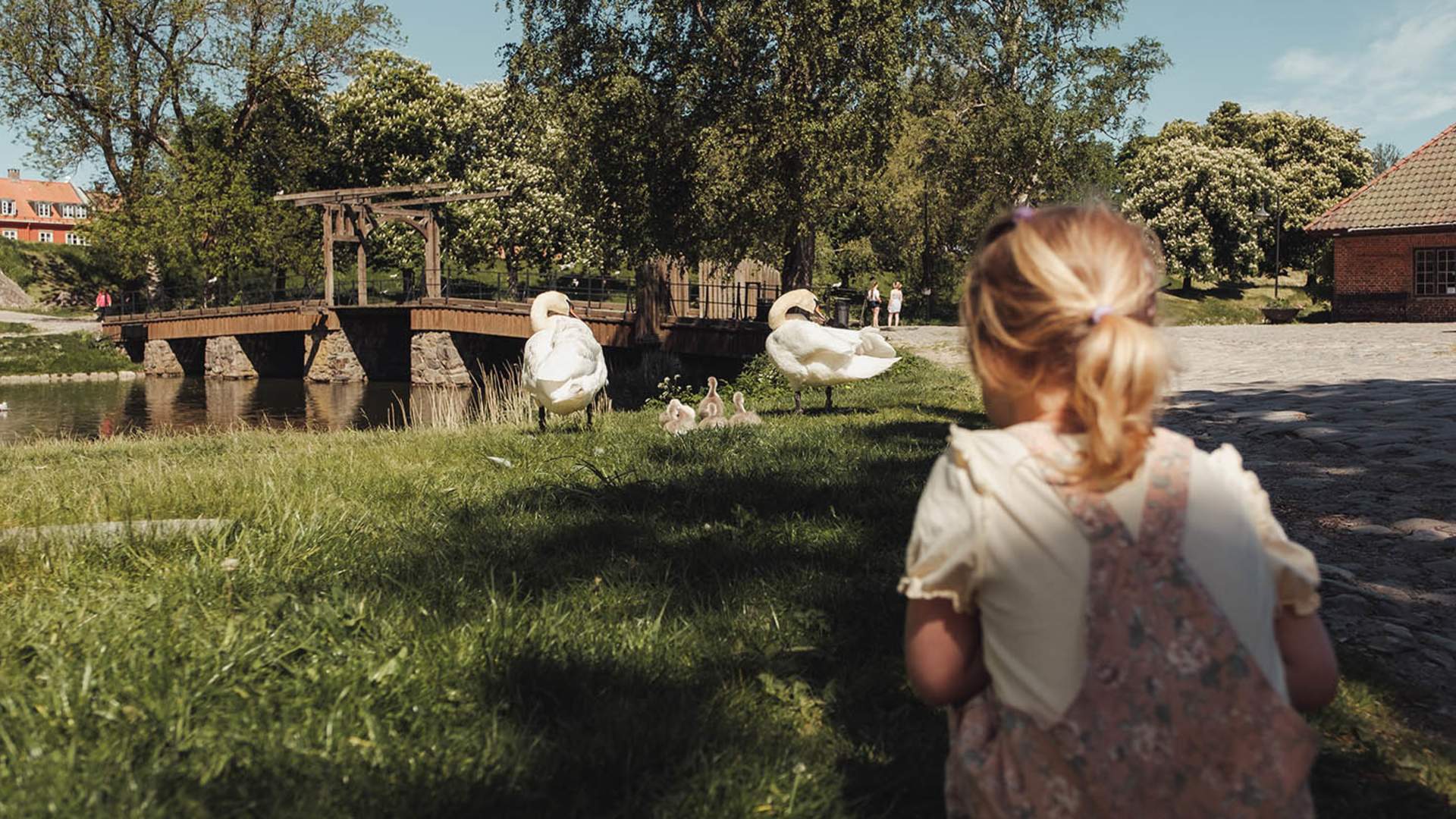 Gamlebyen svaner ©HouseofIkigai