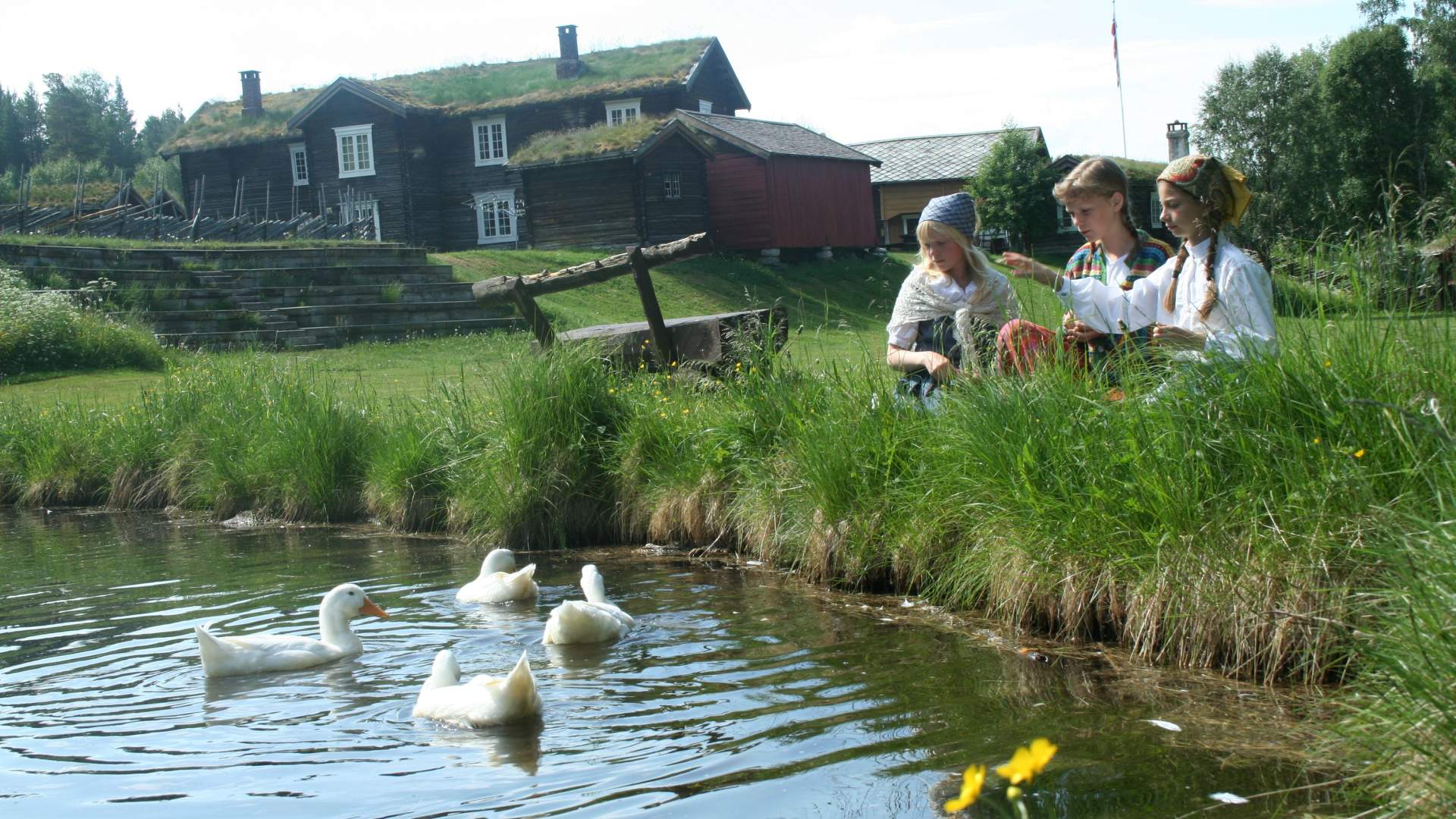 Gardsunger og dyr
