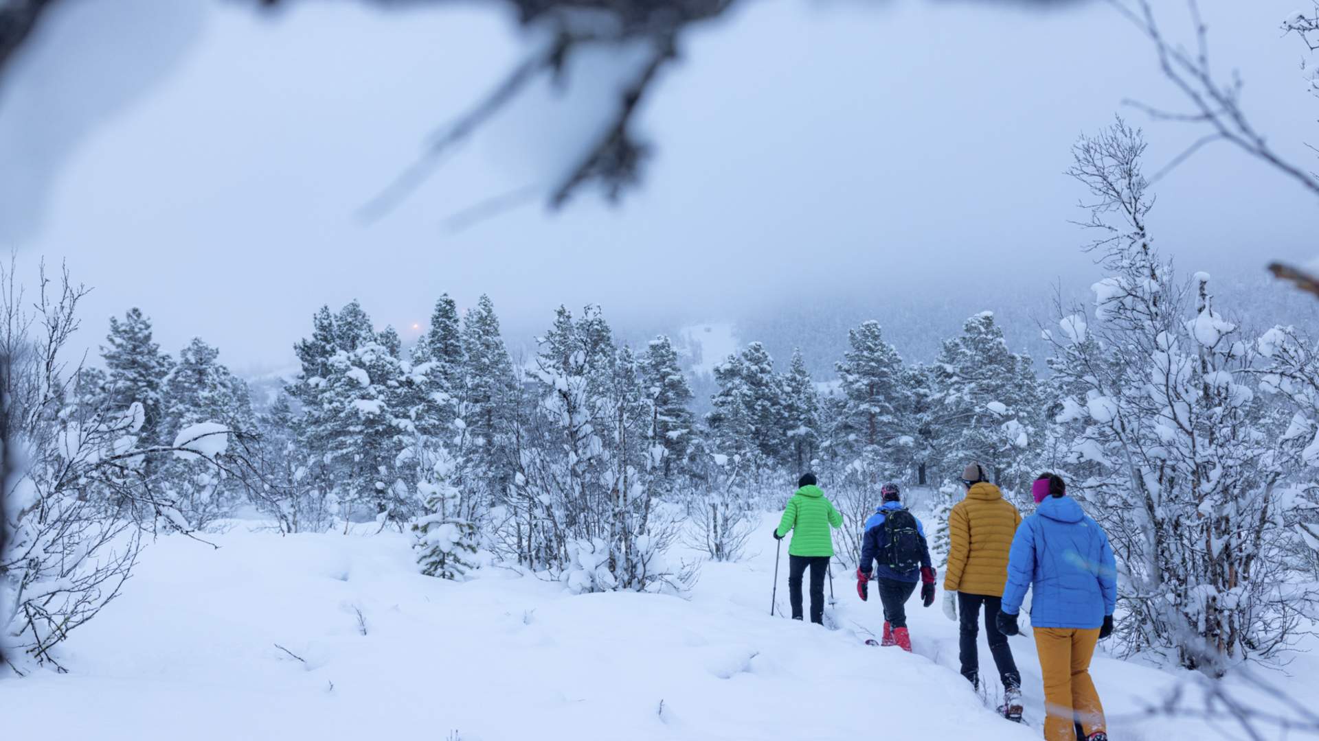 Snowshoeing, Nature Attractions, Geilo