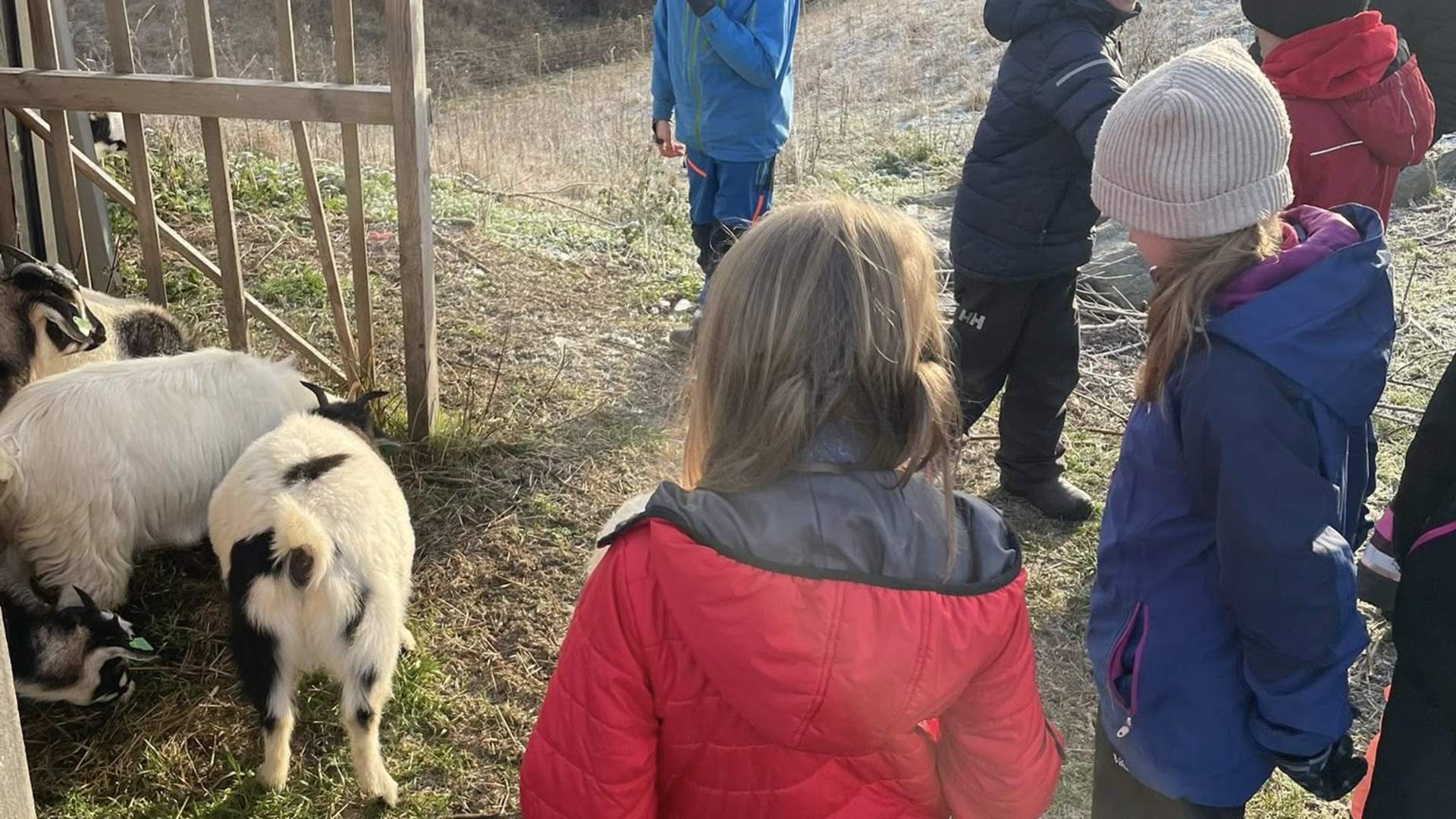Åpen gård med julesteming på Fladmark
