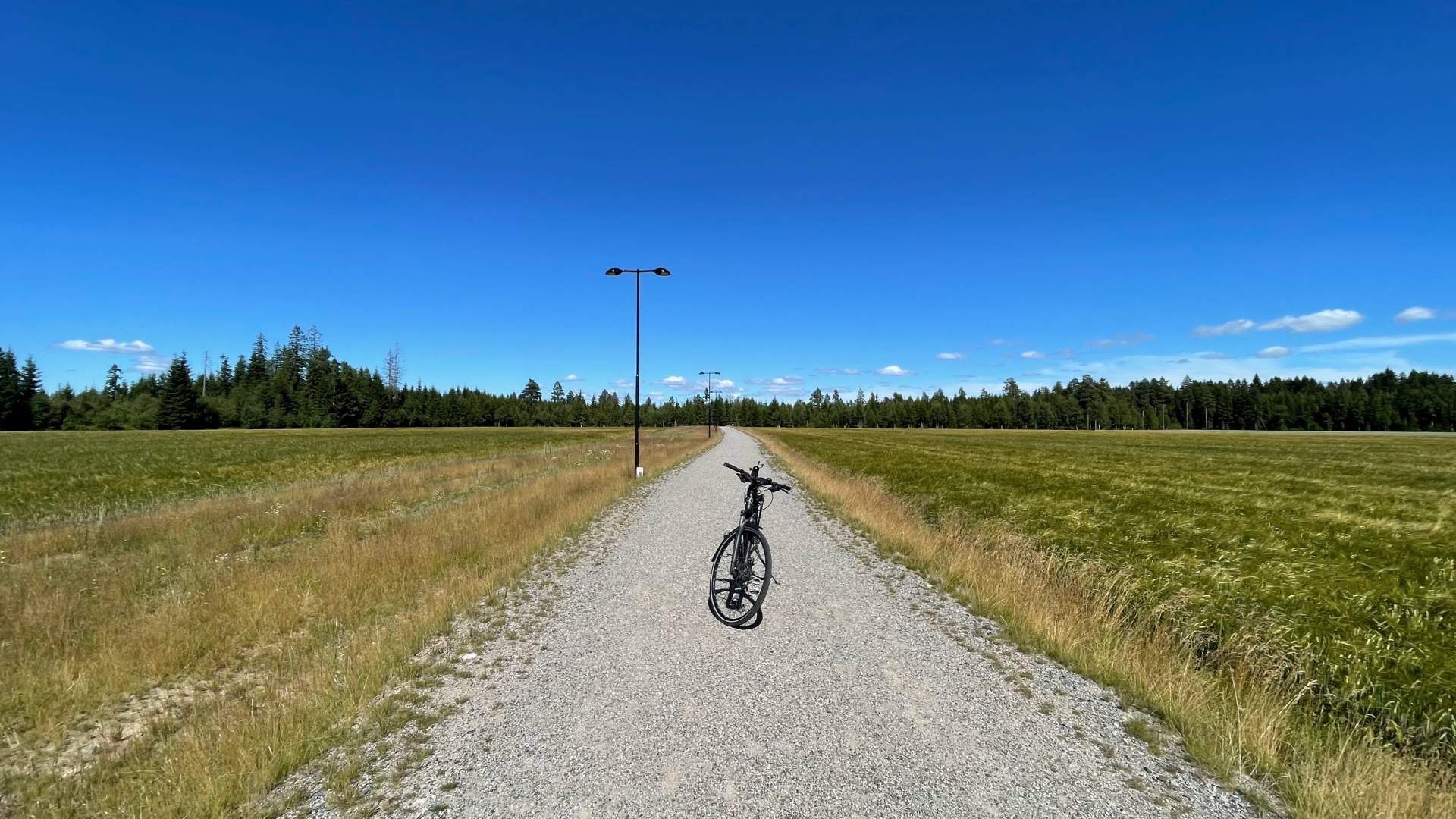 Grusvei gjennom åkeren
