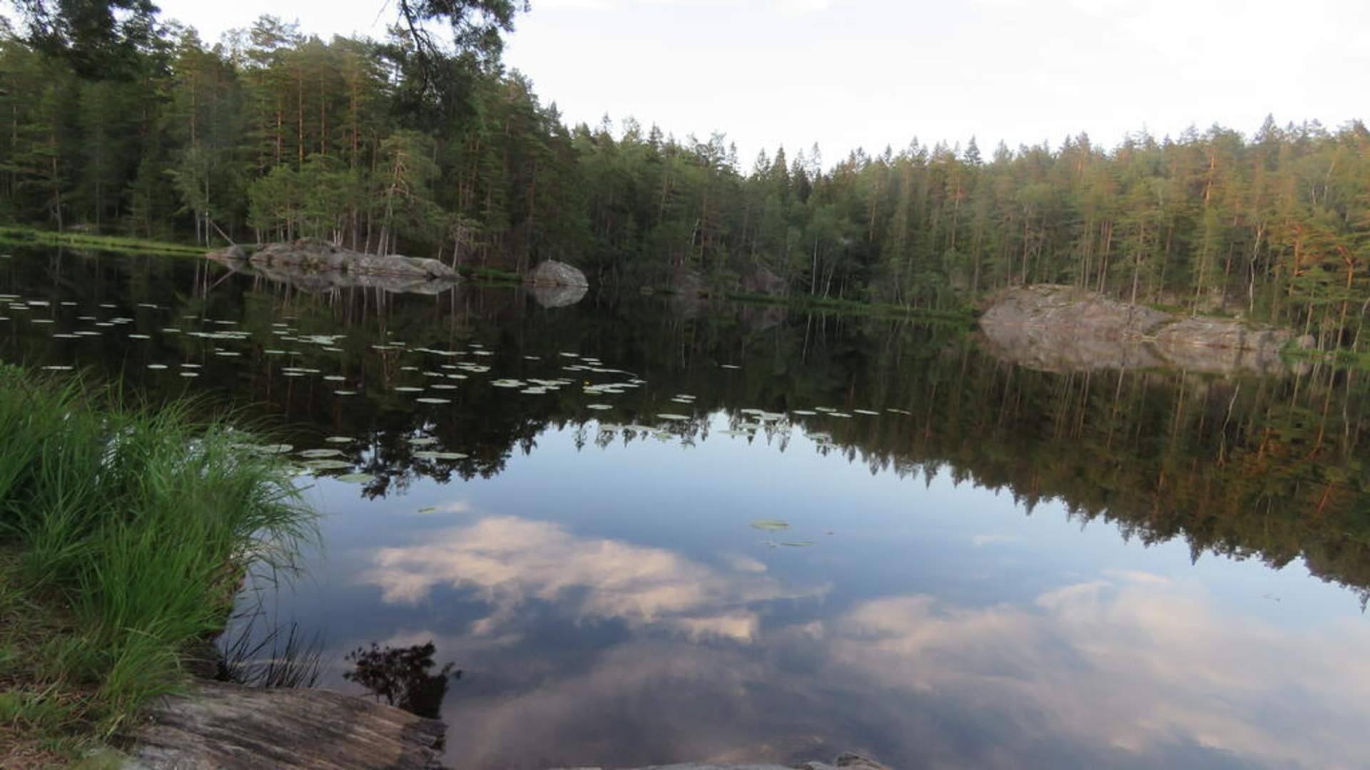 Grytelandstjernet