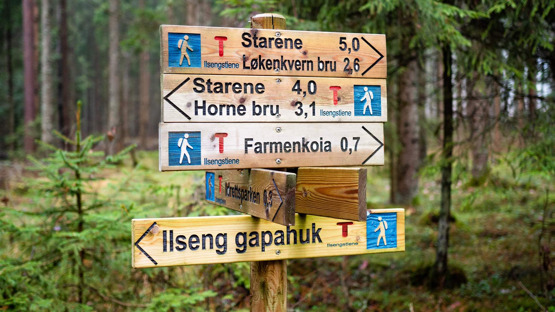 HRU-Ilsengstiene-004