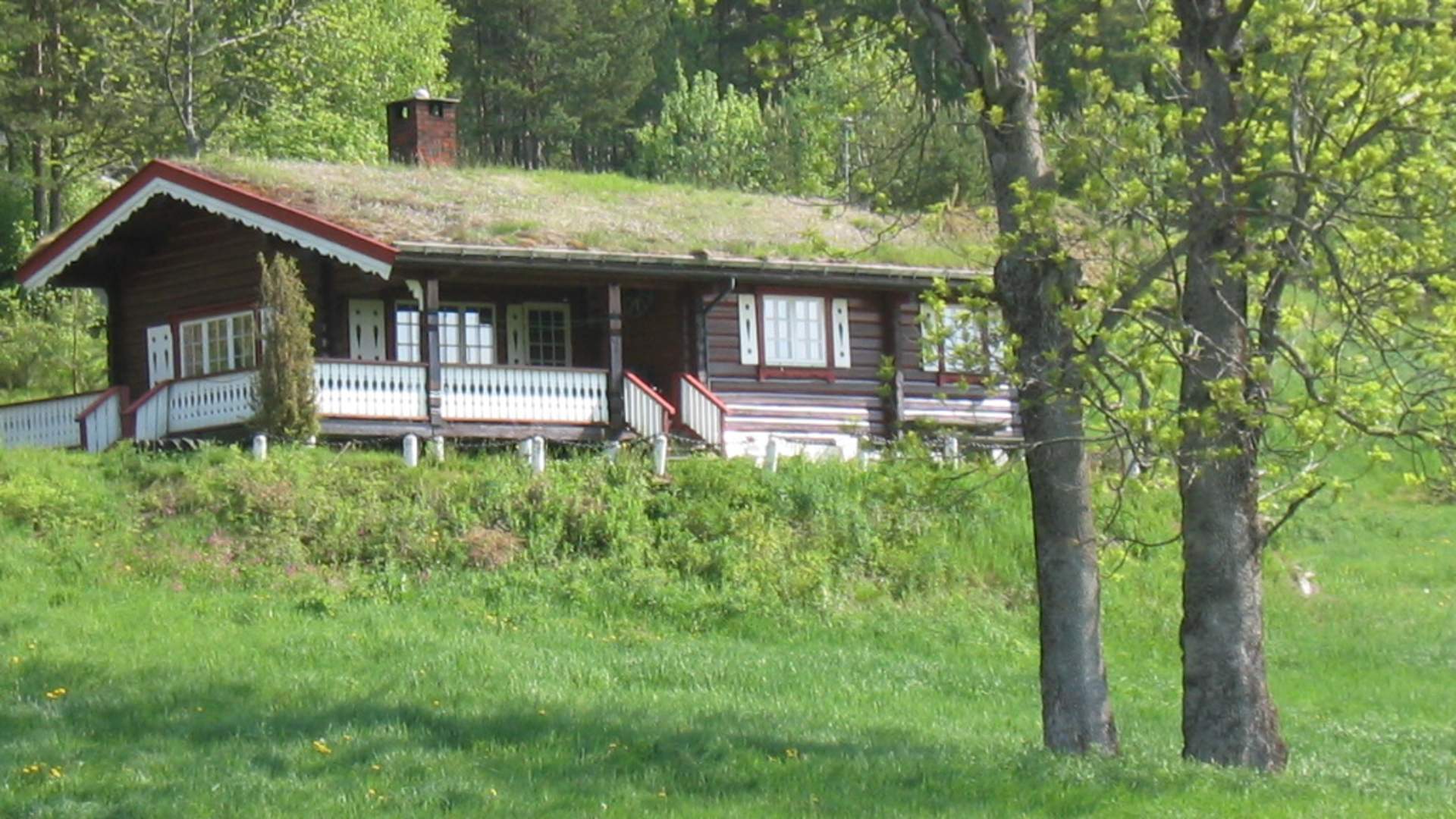 HY 1 8 juni 03  IMG_0030