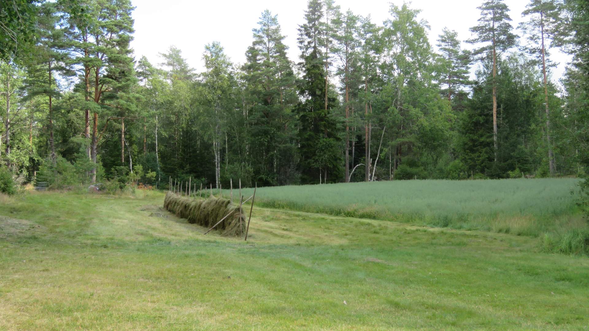 Høitomt, Rakkestad - høyonn