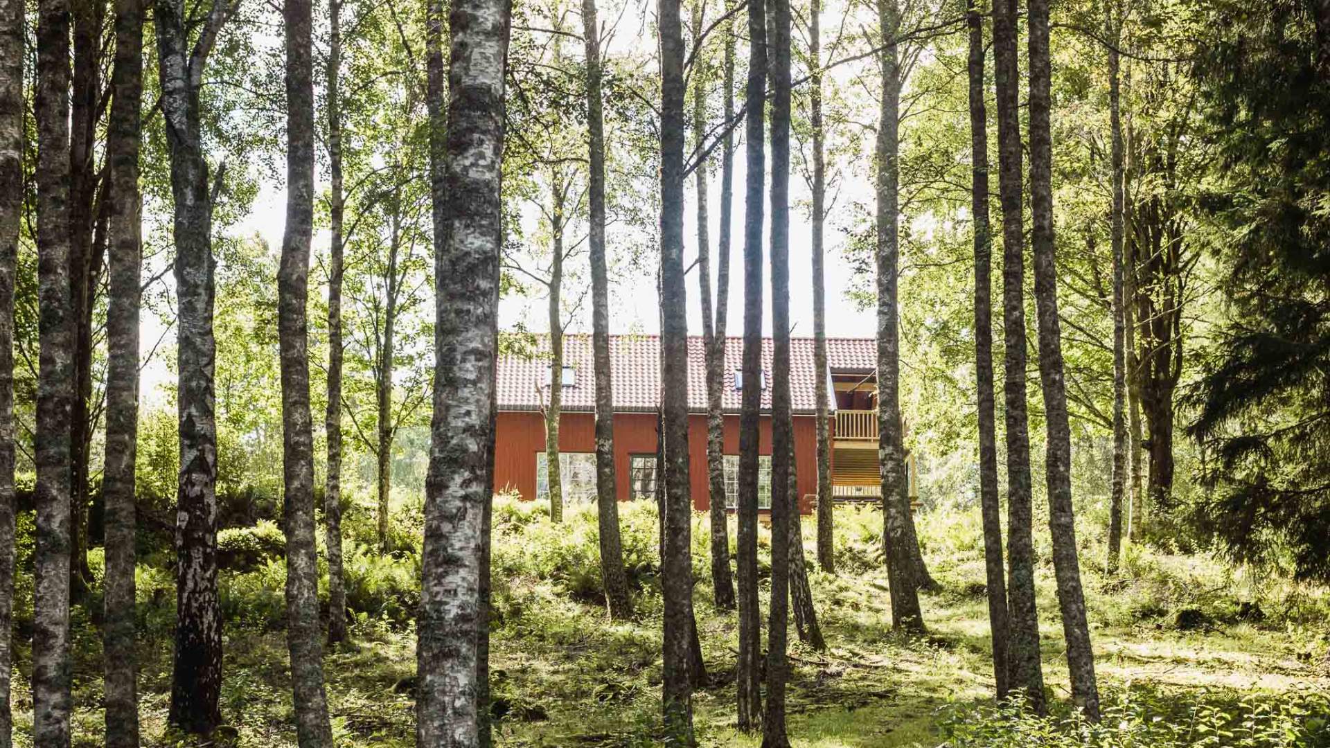 Hafsrød_Ertehaugen_23_-276_WEB