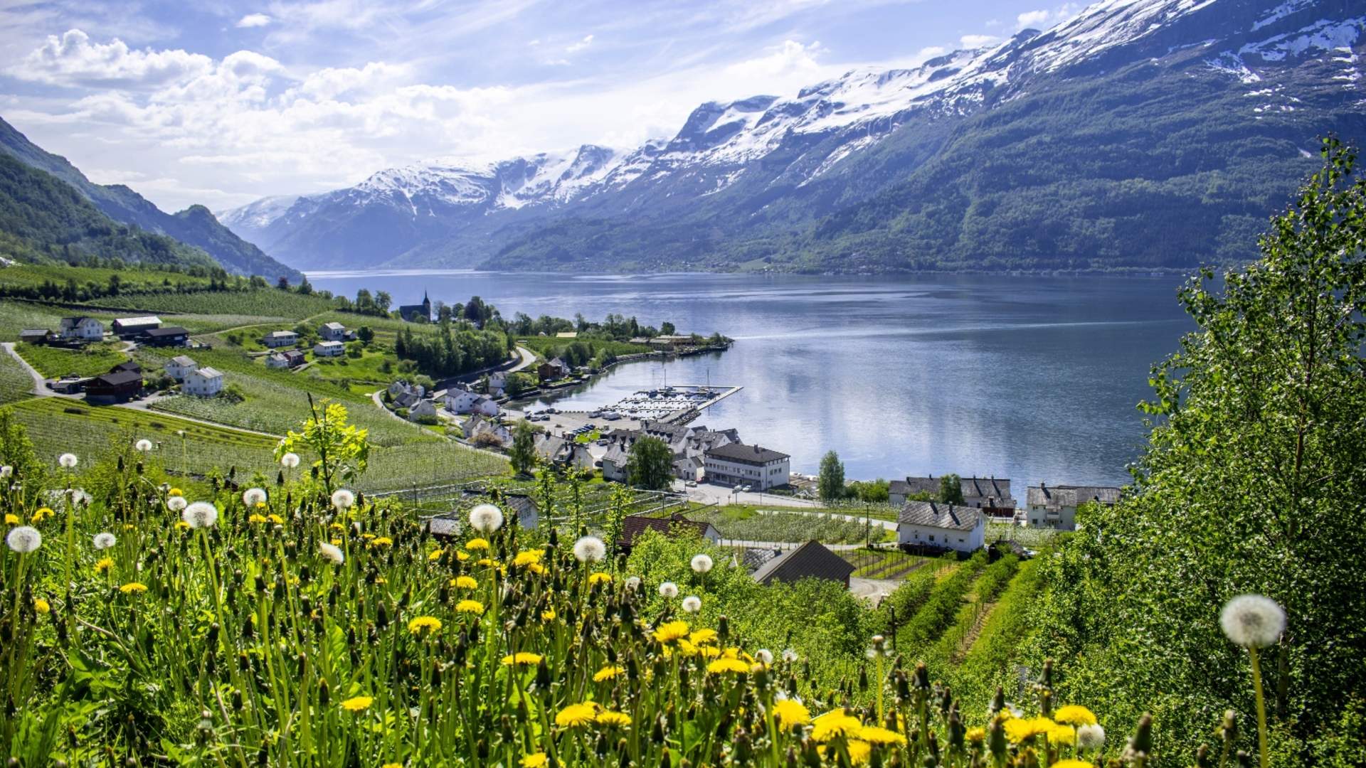 Hardanger1_ny