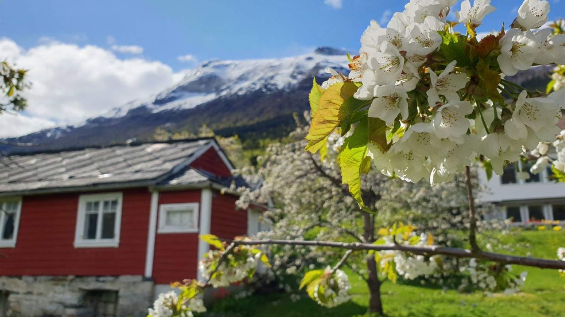 Hardanger