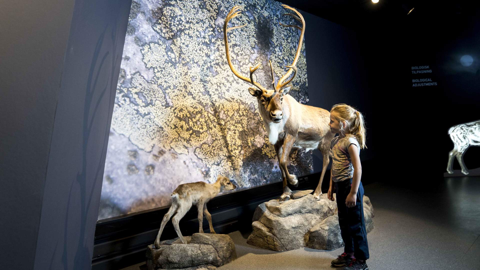 Hardangervidda nasjonalparksenter foto Yngve Ask