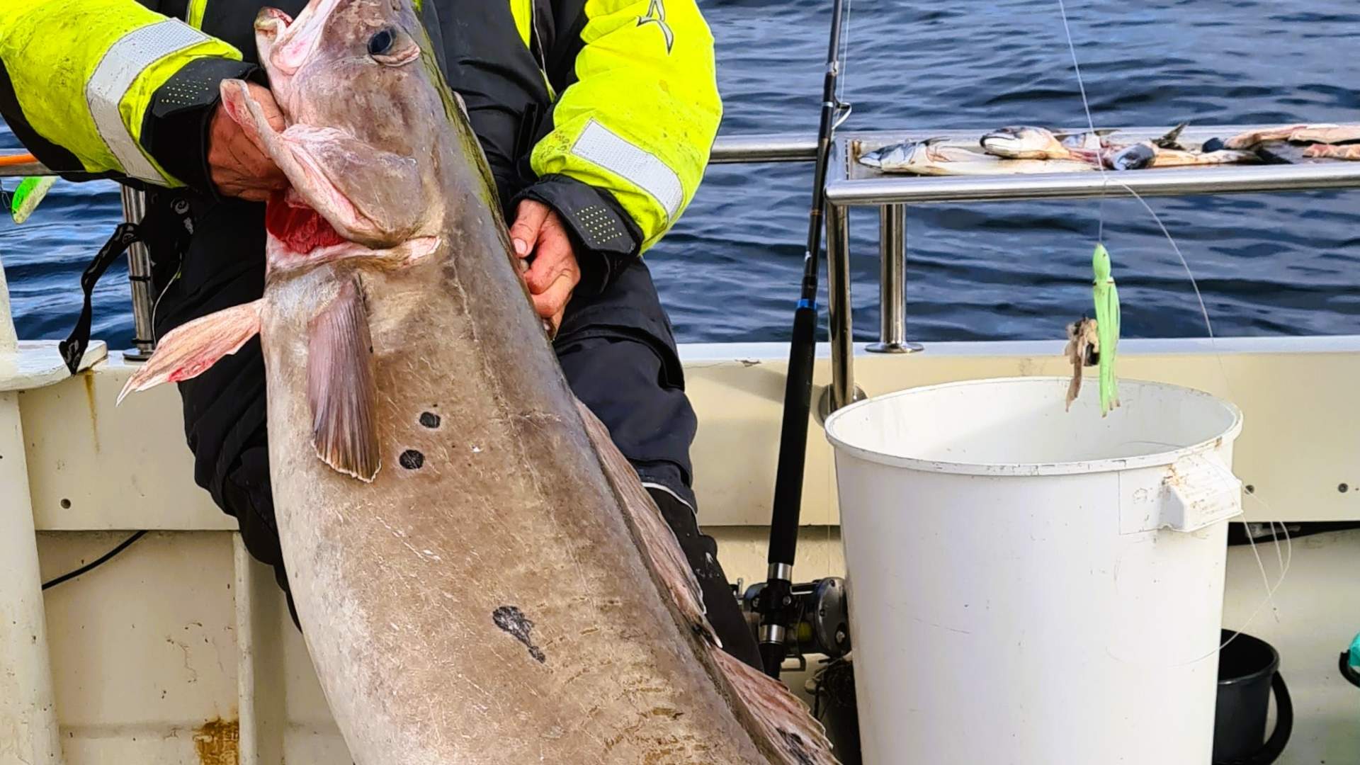 EM i Havfiske på Fedje - Festival og folkefest i havgapet