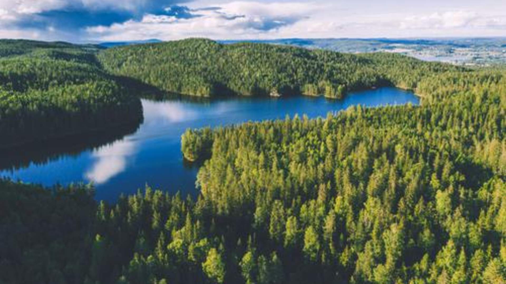 Hektnerhøga°sen