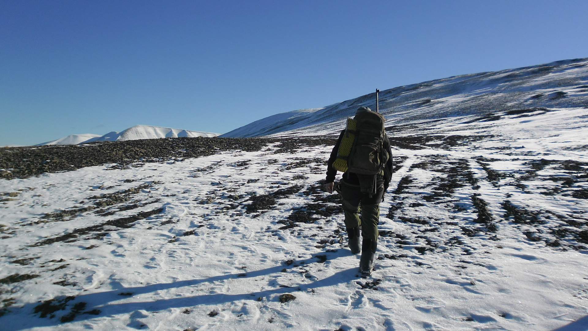 Hike Foxfonna Svalbard wildlife Expeditions