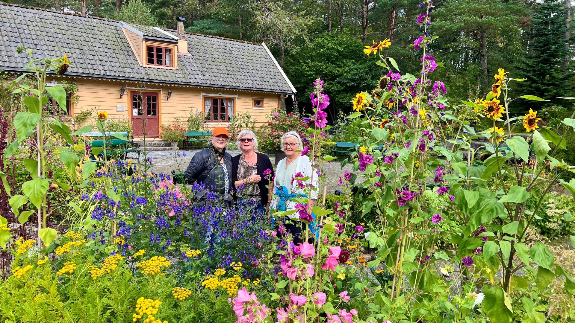 Historiske Blondehushagen i Arboretet