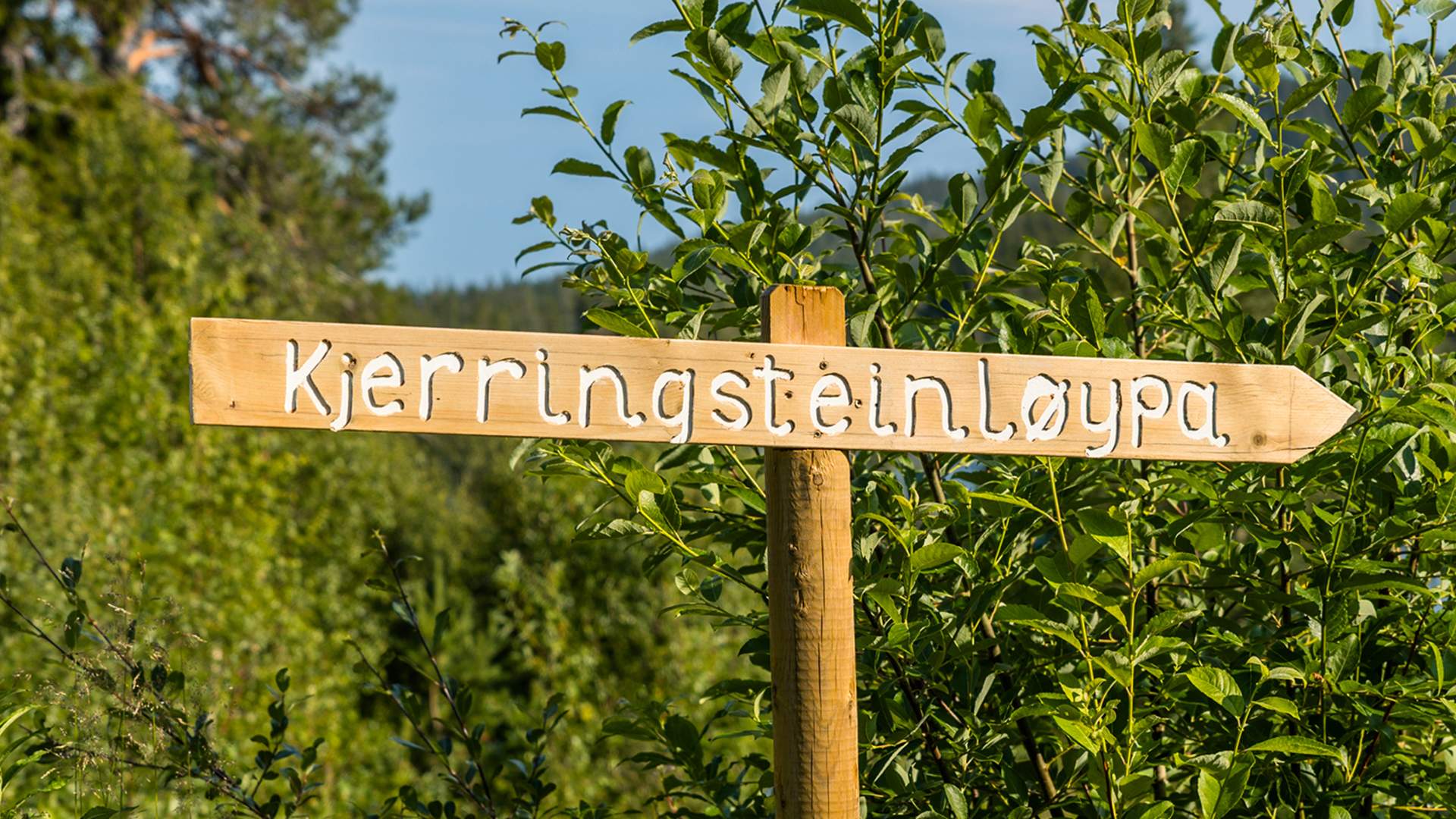 Hjartdal_Sommer_Kjetil Kalis_Kjerringsteinløypa.033.1500x844