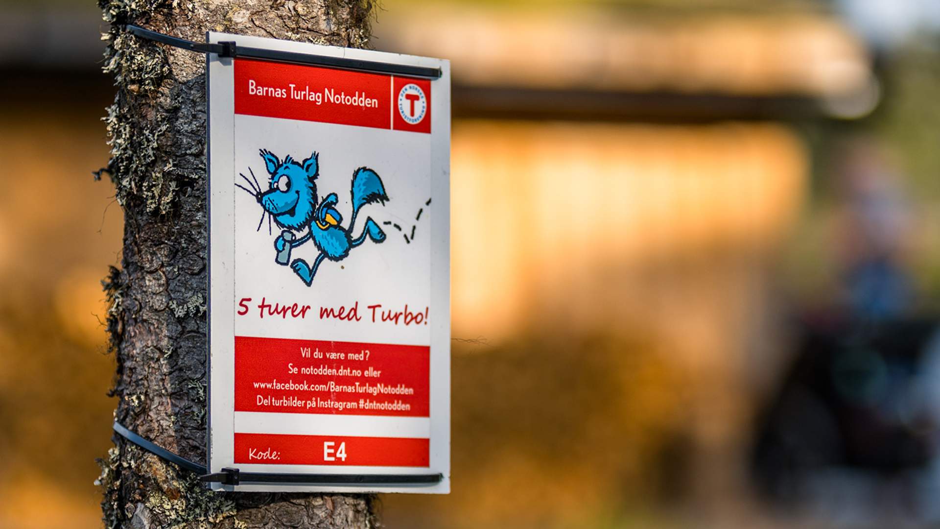 Hjartdal_Sommer_Kjetil Kalis_Kjerringsteinløypa.09.1500x844