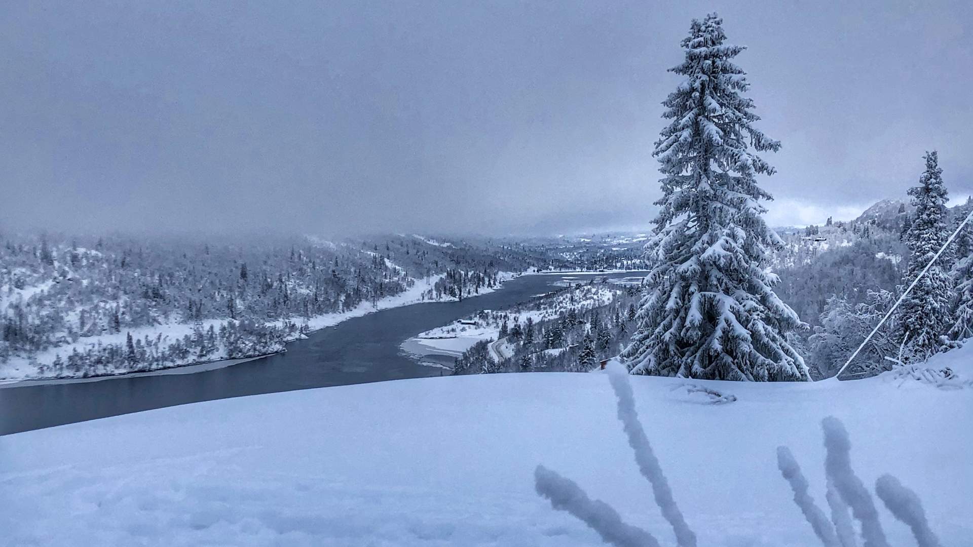 Hjerdalen_IMG_6260