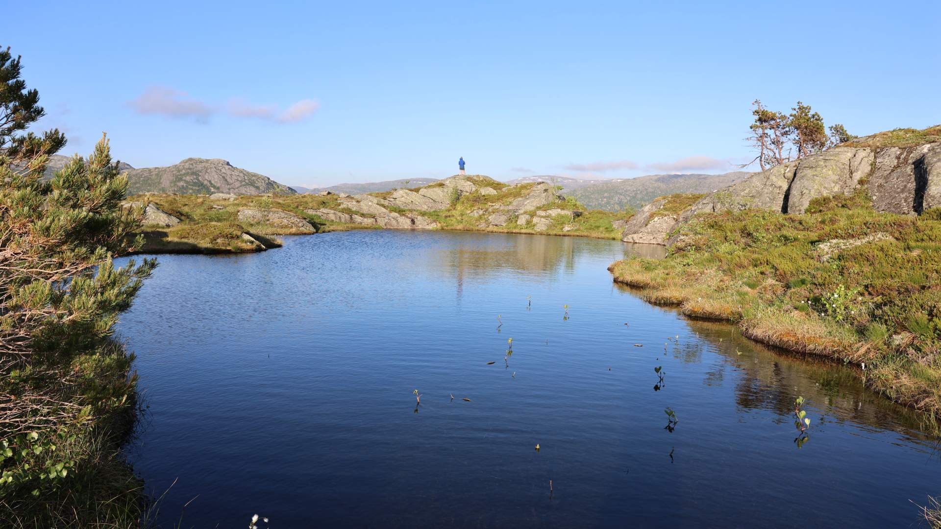 Træet gård - Osterøy