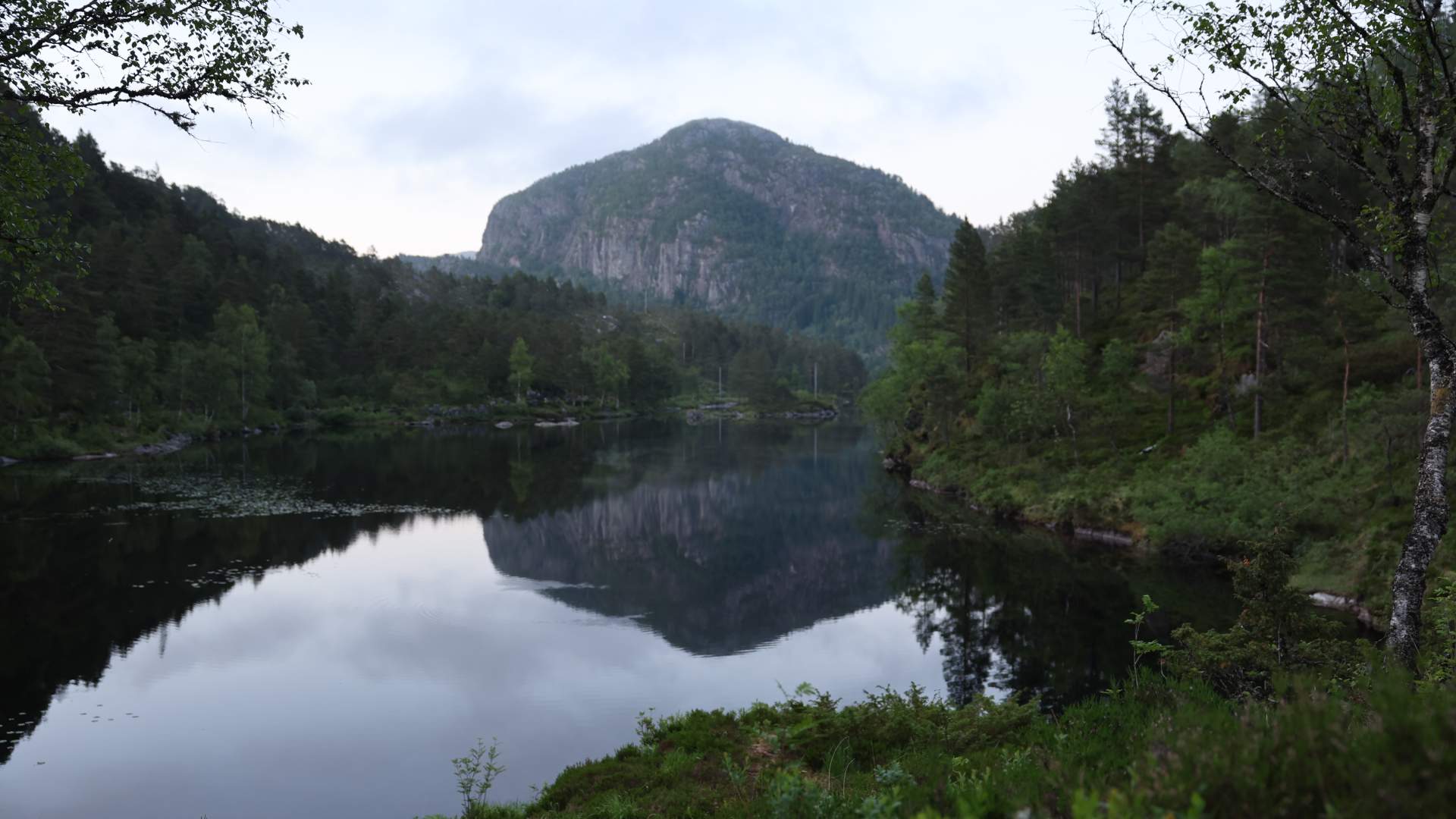 Træet gård - Osterøy