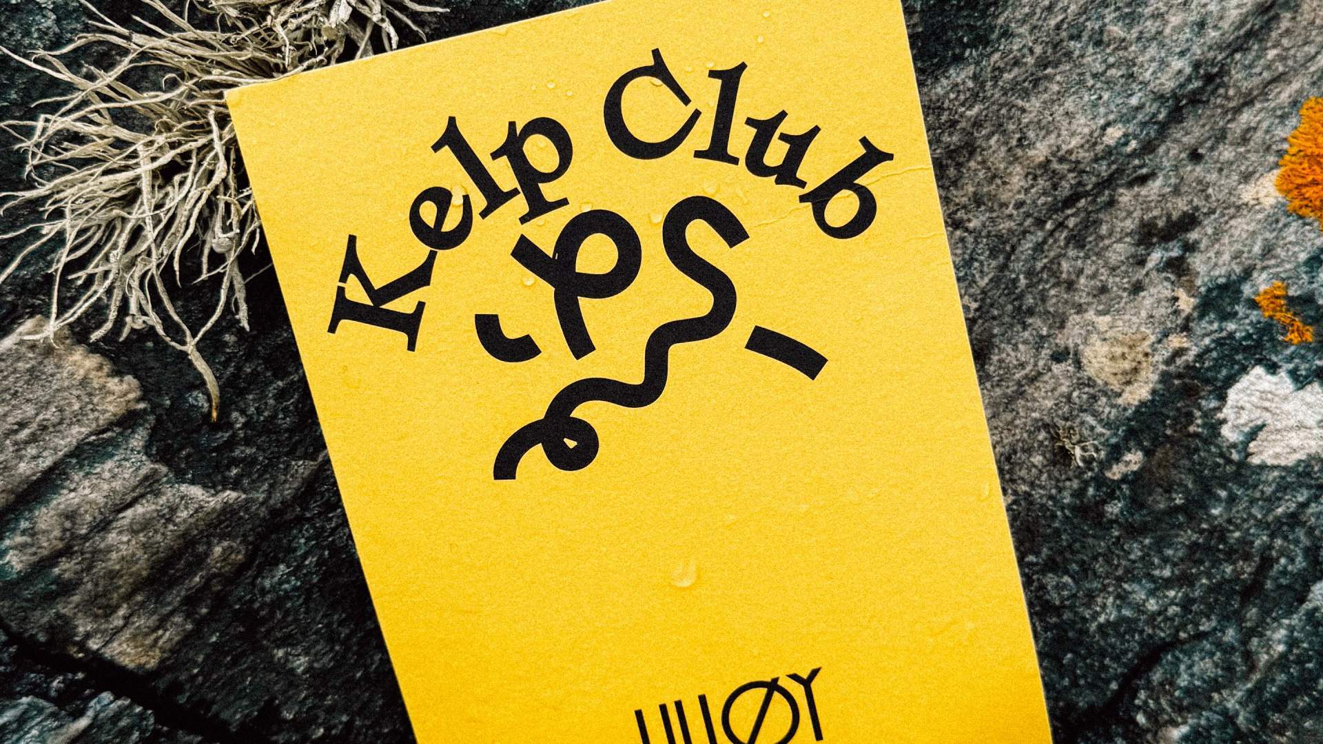 LILLØY'S KELP CLUB