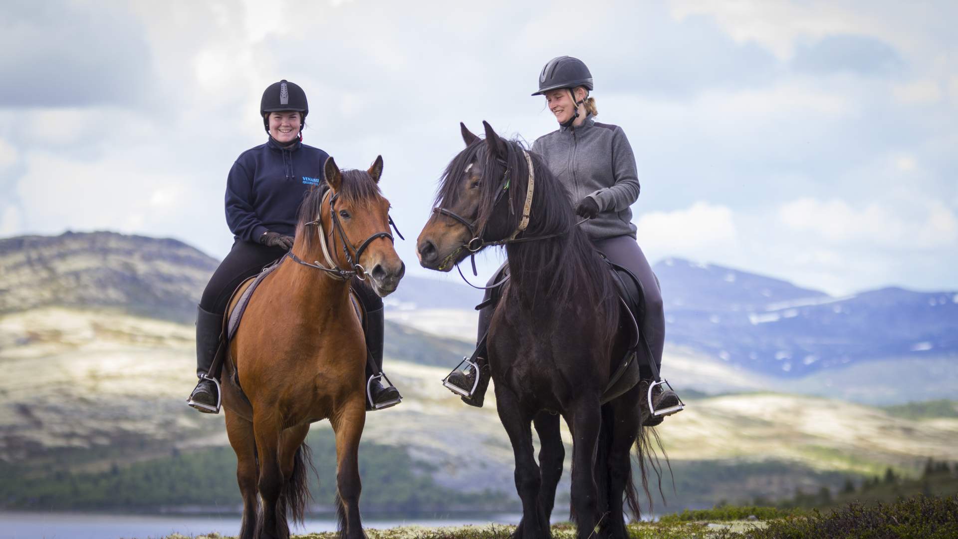 Horses and Riders on Venabygdsfjellet
