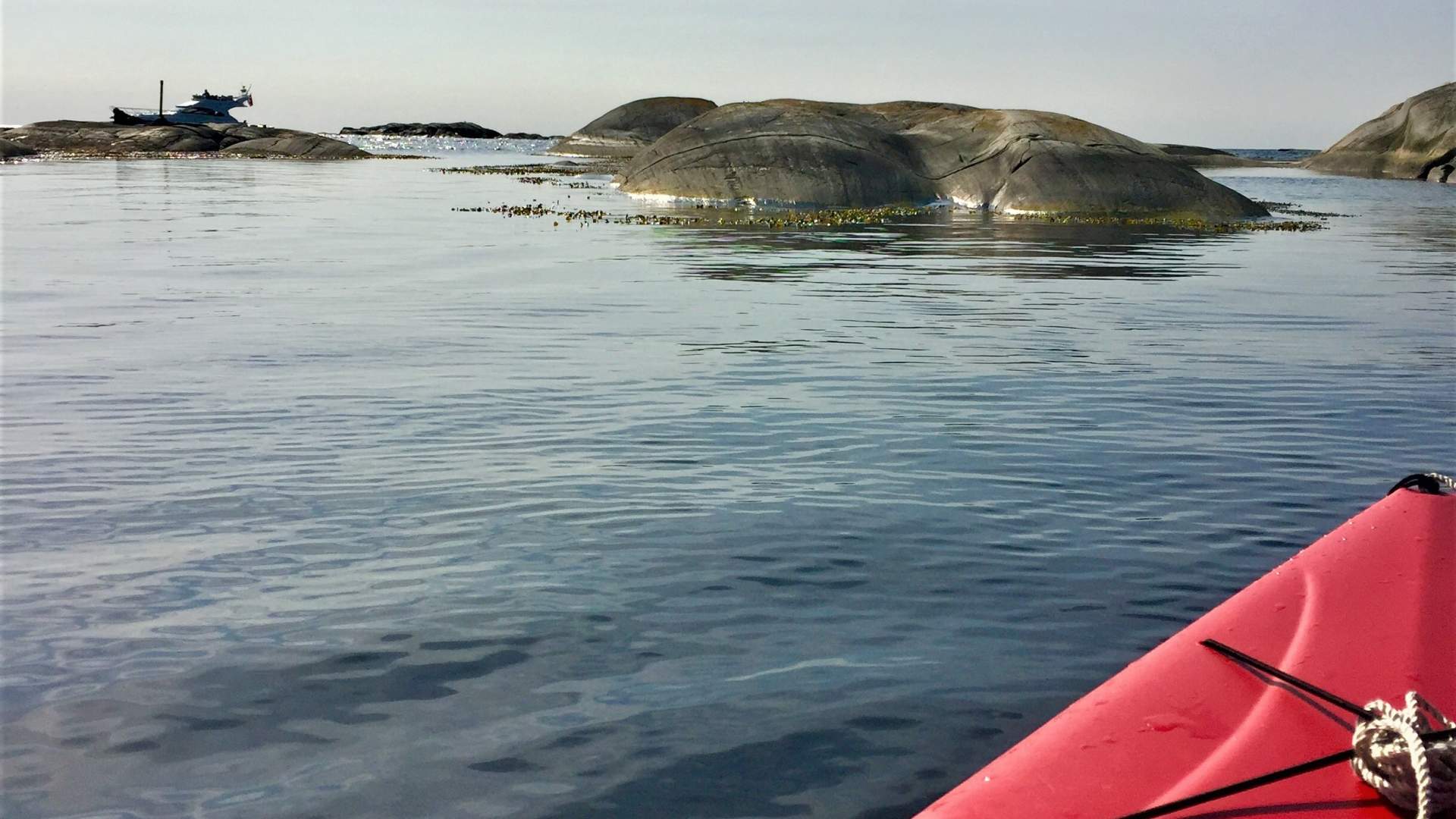 Padling 2