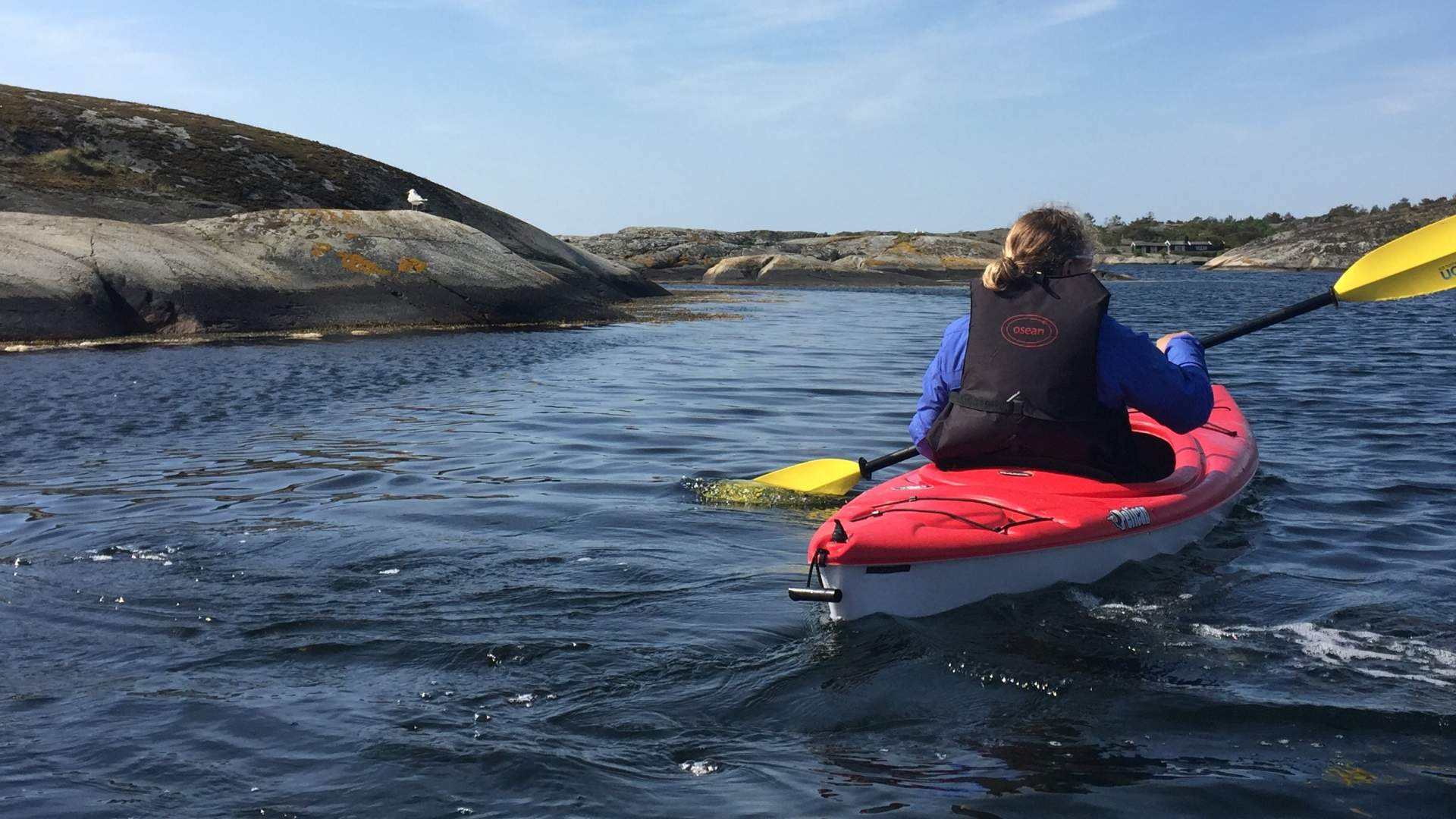 Padling 1