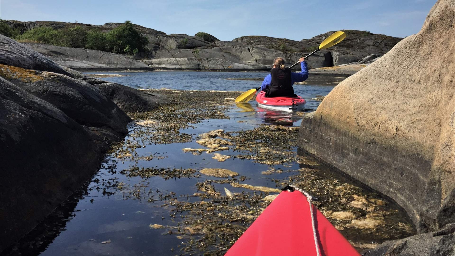 Padling 3