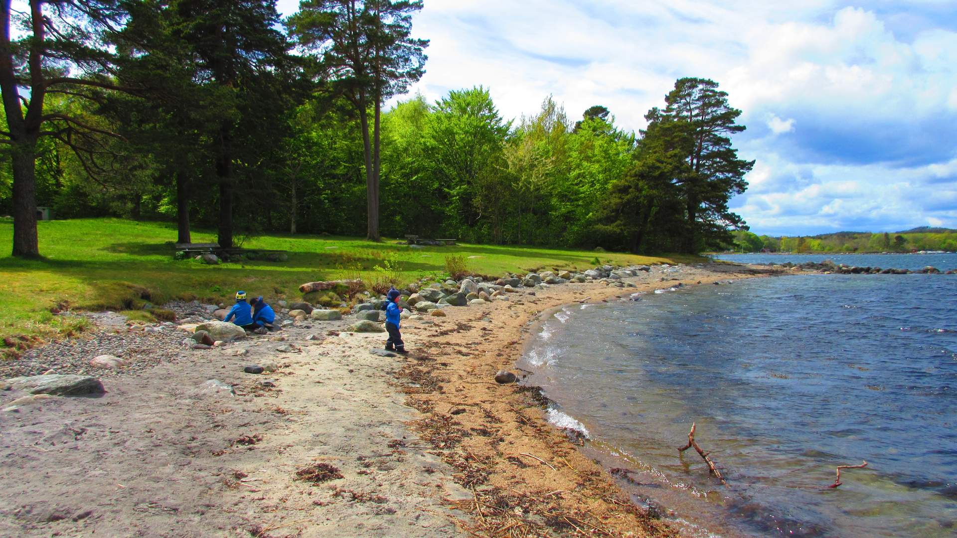 Hasseltangen