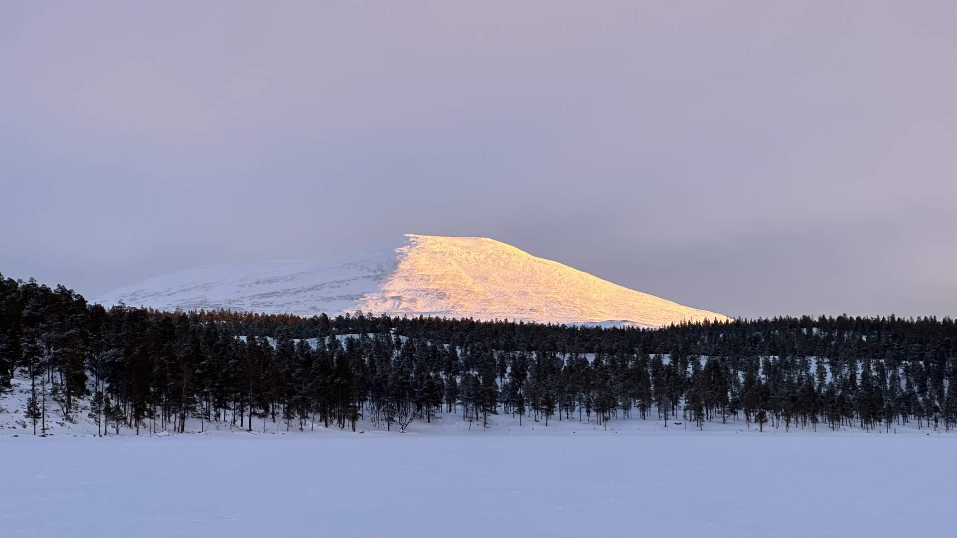 Stor-Svuku (1416 moh)