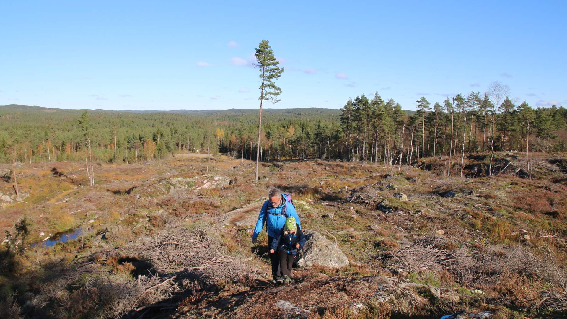 Turperler Rakkestadfjella