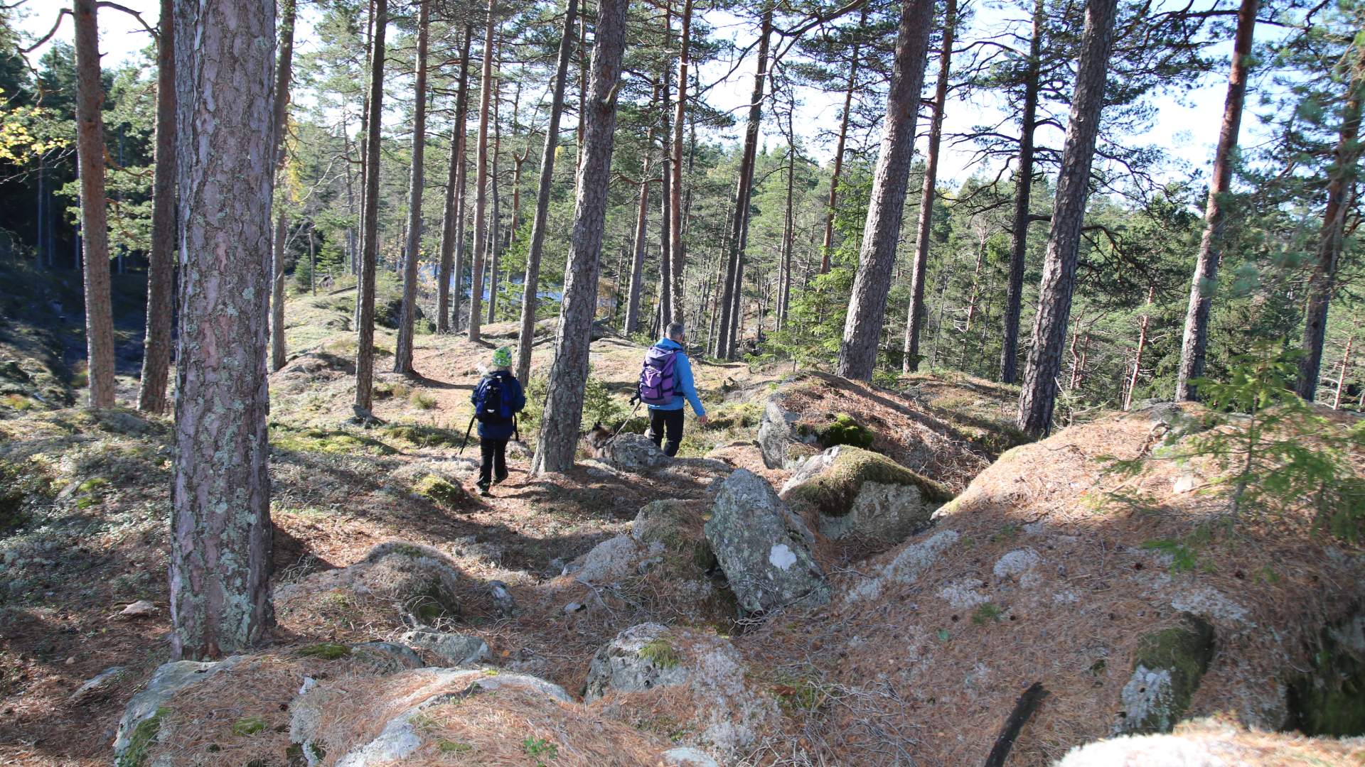 Turperler Rakkestadfjella