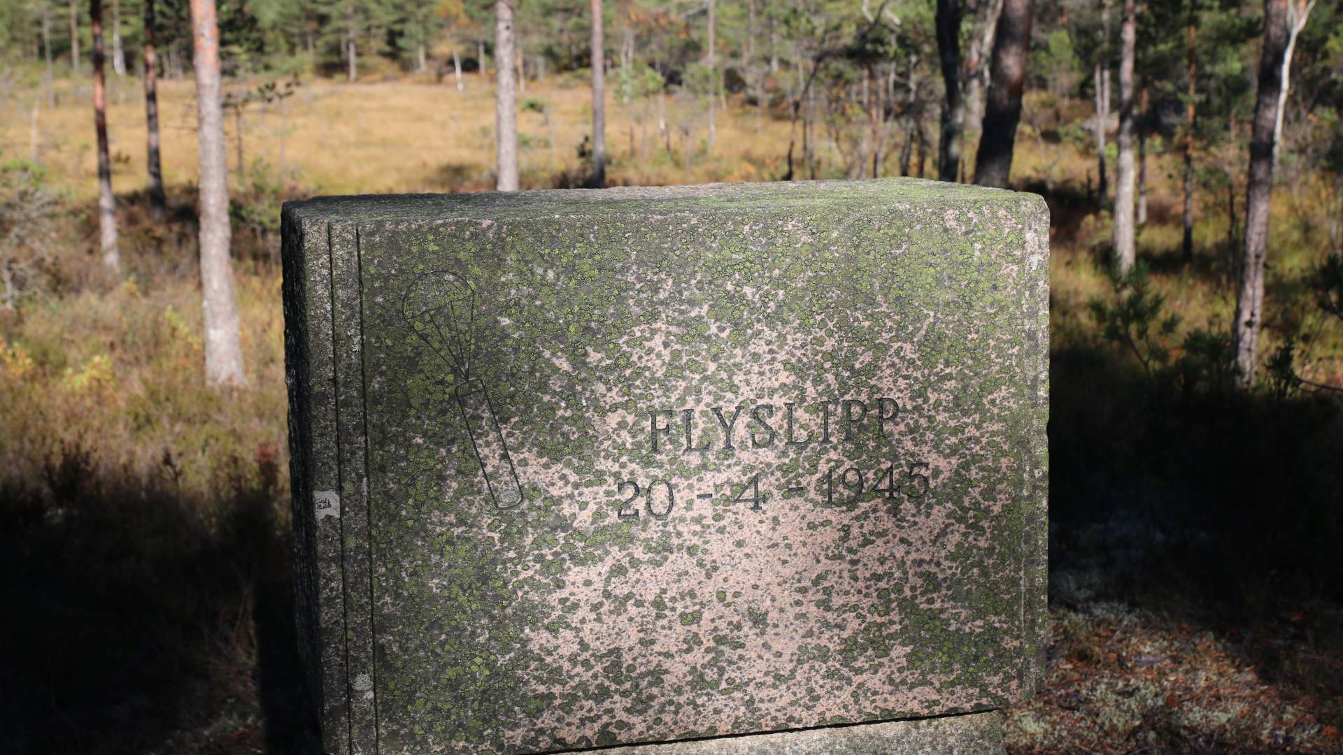 Turperler Rakkestadfjella