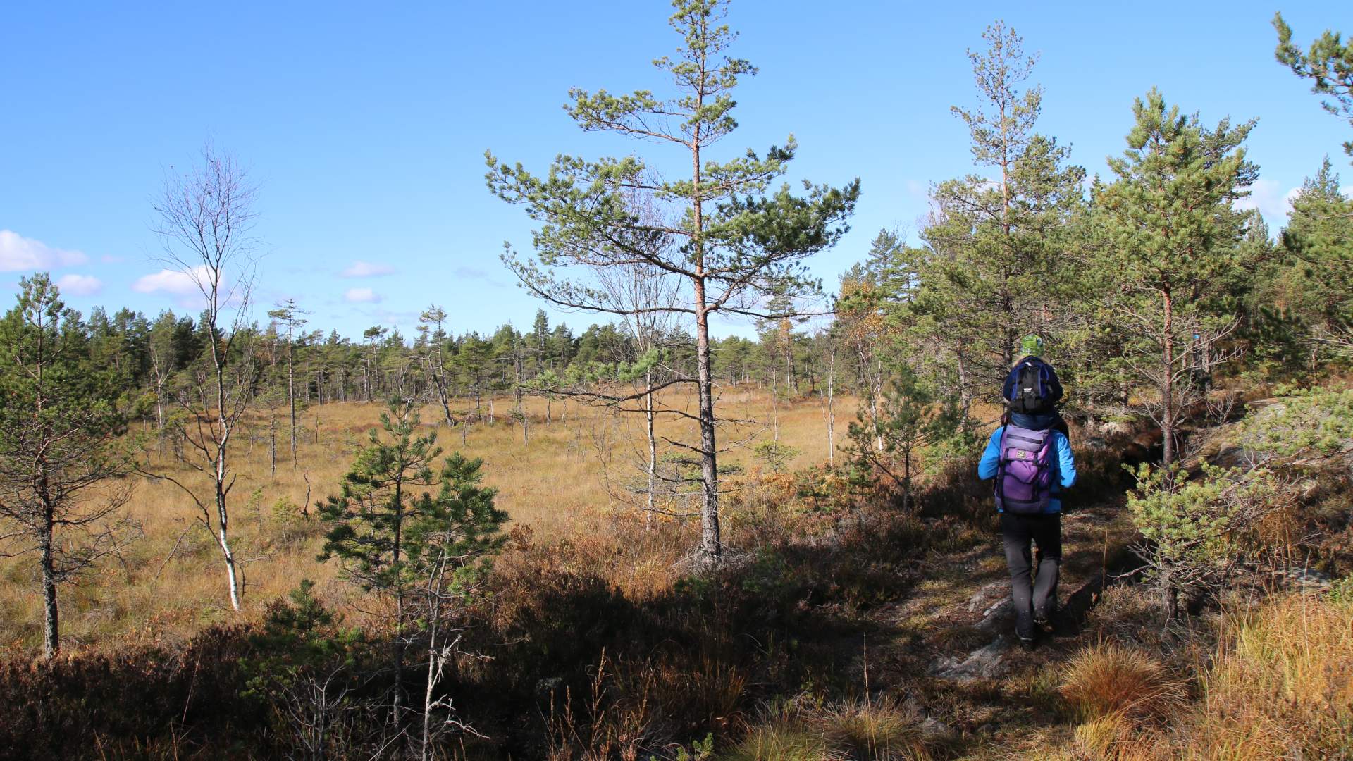 Turperler Rakkestadfjella