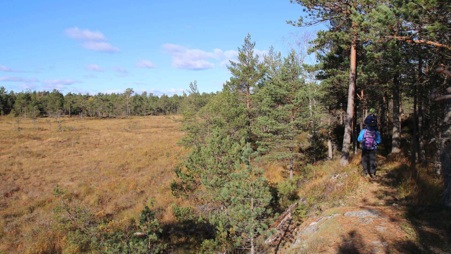 Turperler Rakkestadfjella