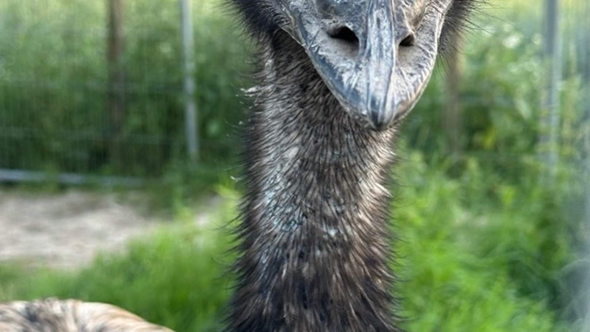 Vestre Knolden Gård