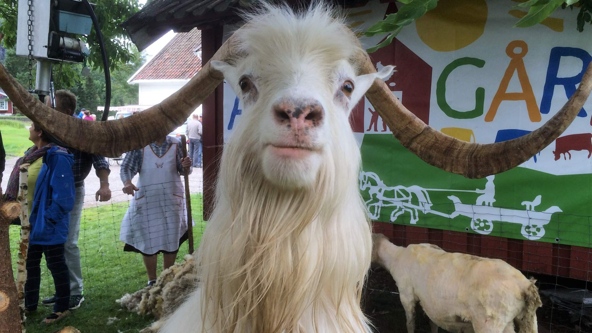 Birkenes Bygdemuseum