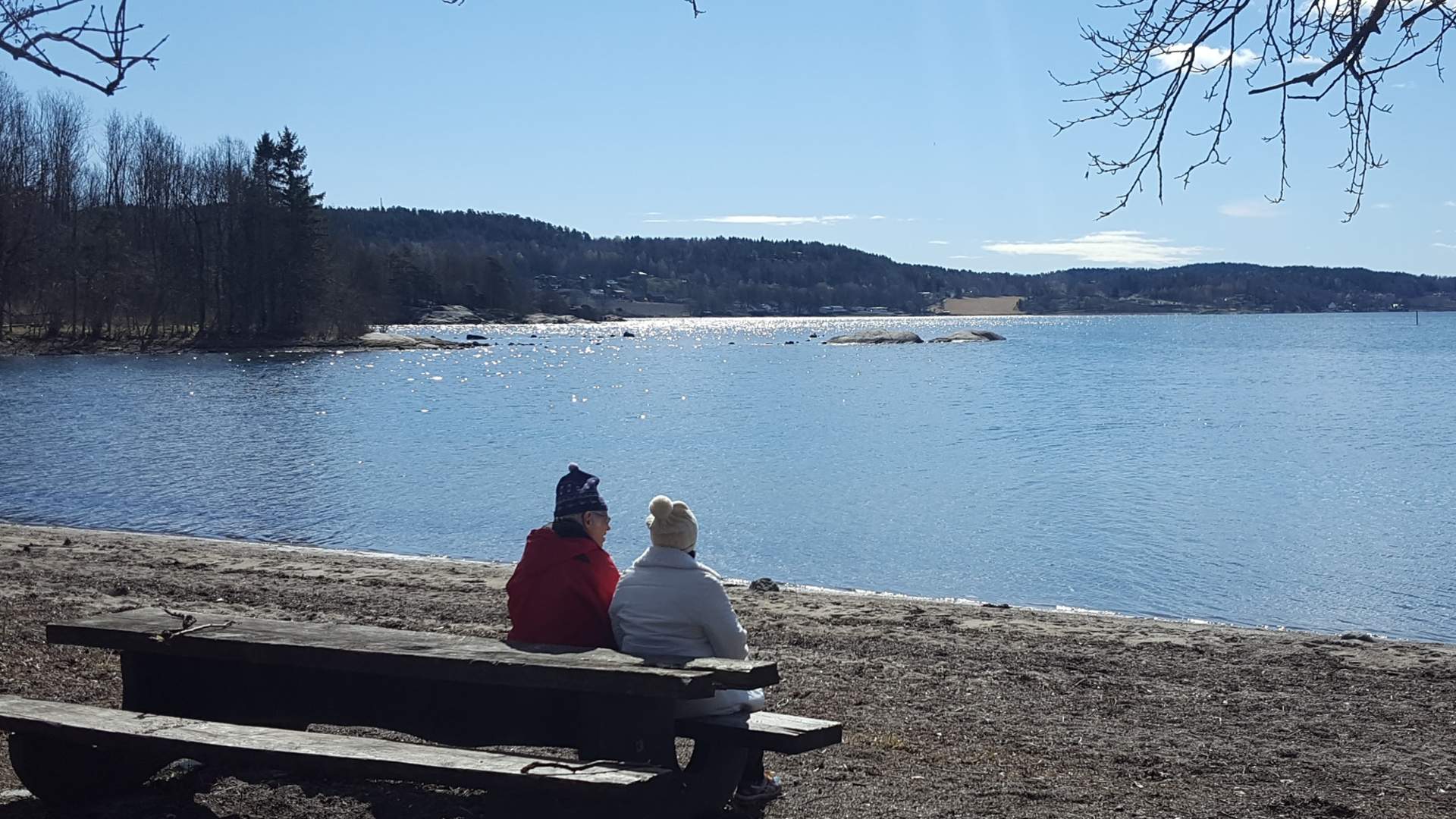 Kyststiene i Stokke
