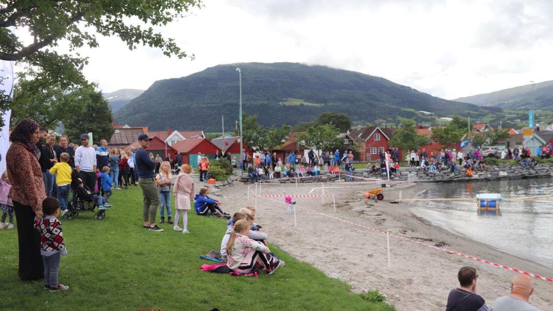 Norsk bringebærfestival, Vik