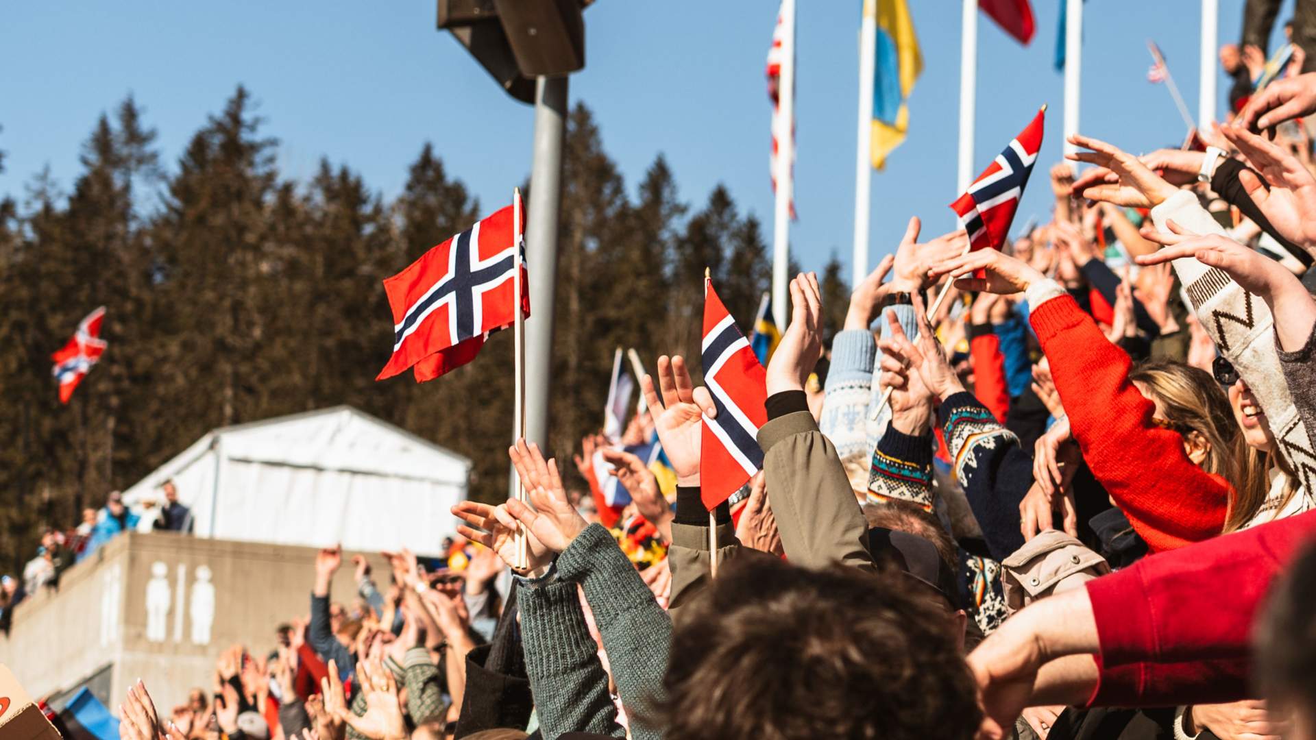 World Cup cross-country, ski jumping and nordic combined