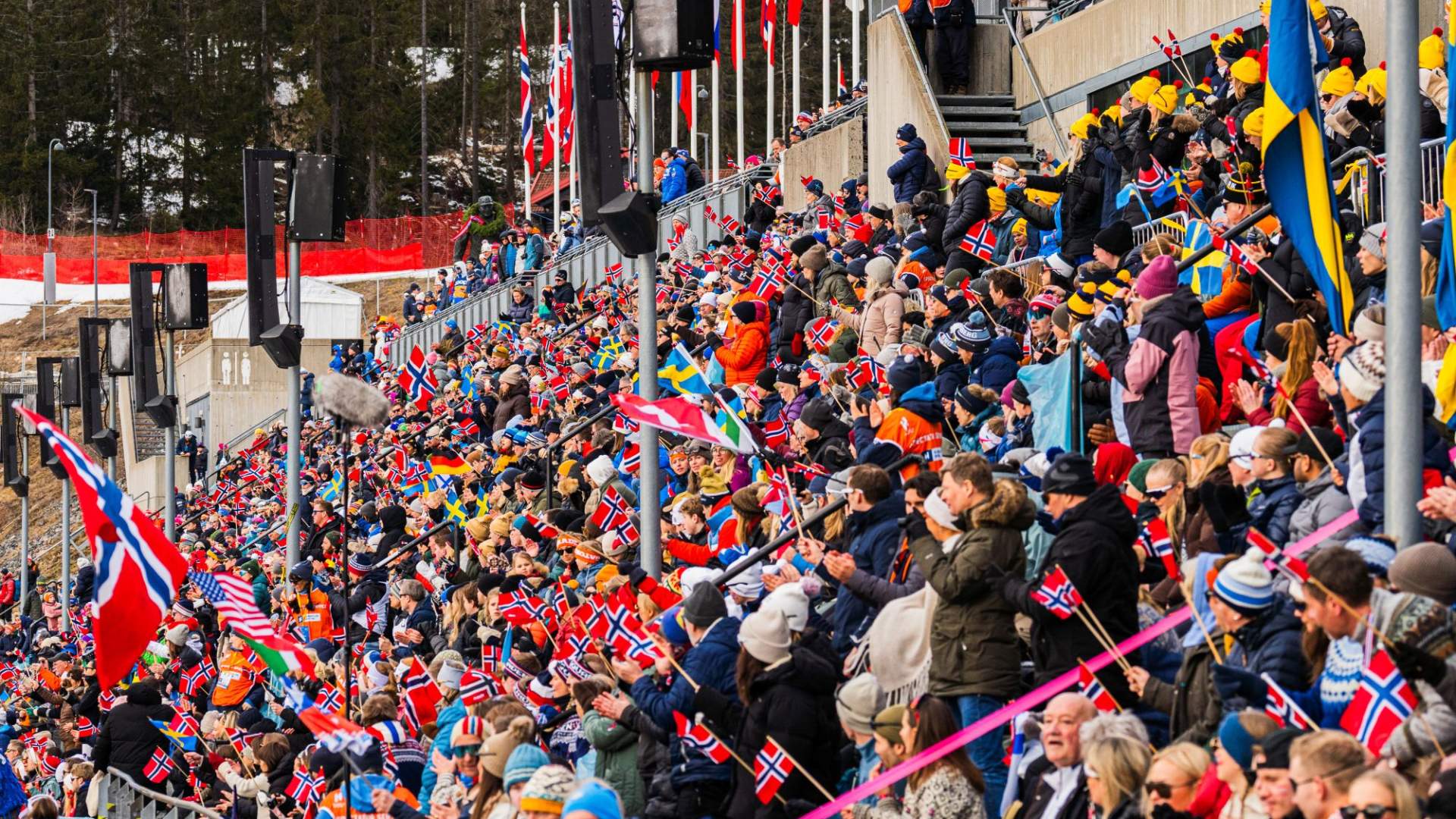 World Cup cross-country, ski jumping and nordic combined