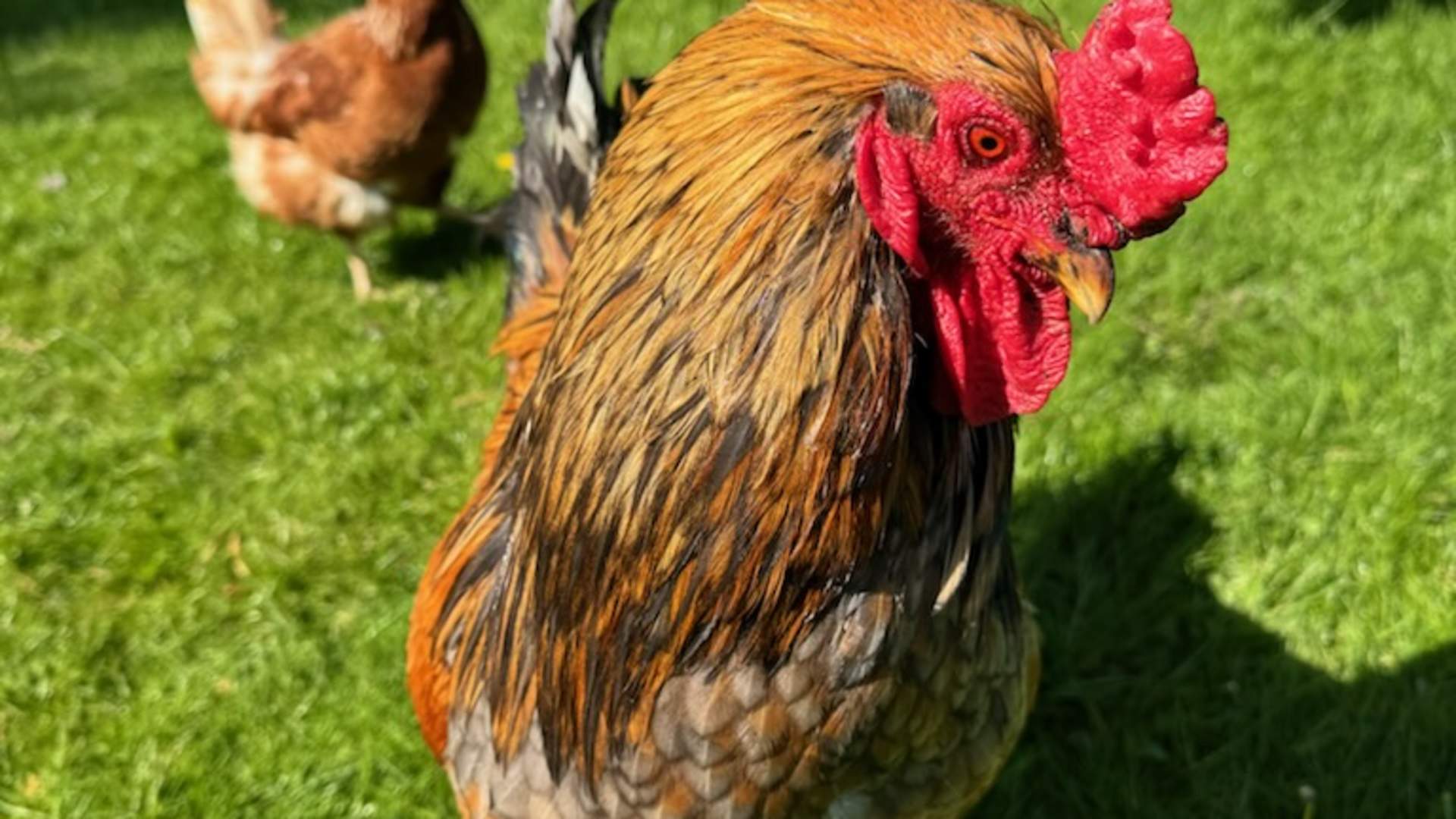 Vestre Knolden Gård