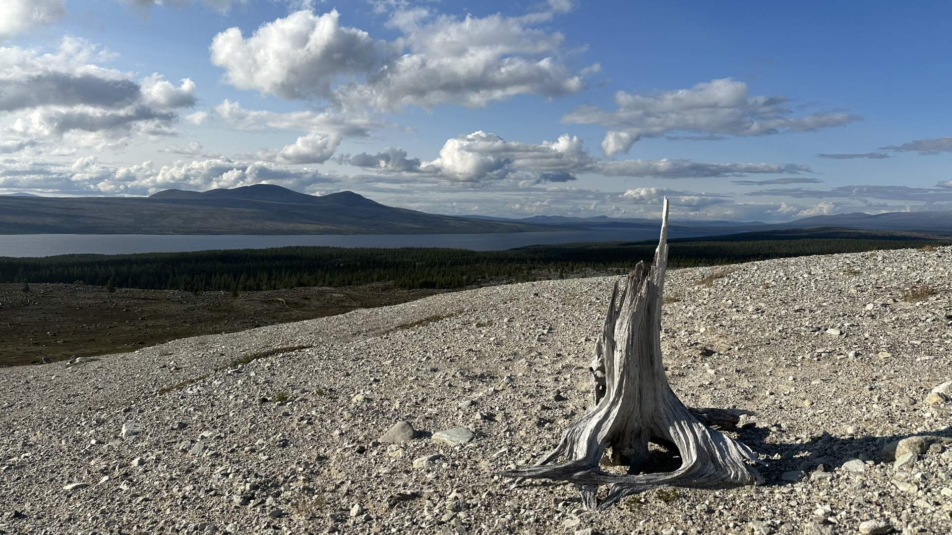 Utsikt nordover Femund fra Sandhaugan