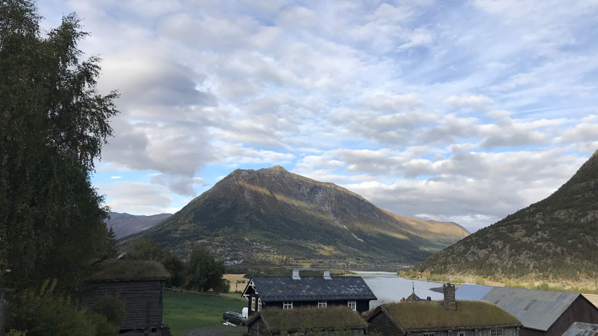 Lomseggen frå RV 15