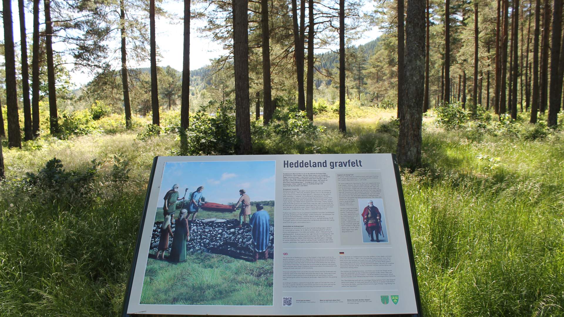 Gravfelt på Heddeland
