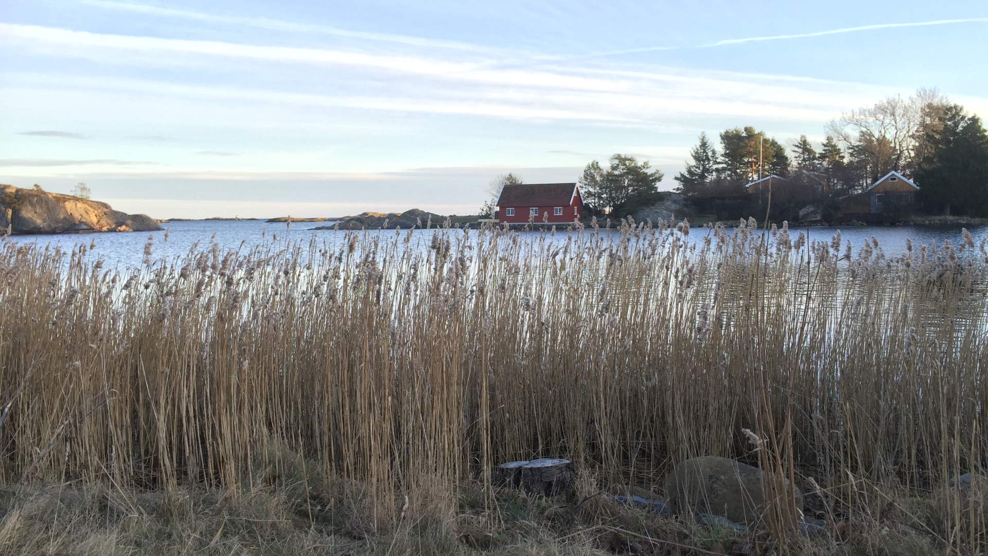 Hasseltangen