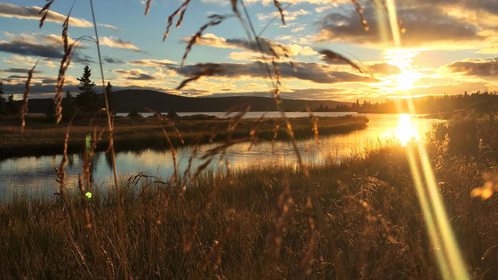 Solnedgang på Golsfjellet