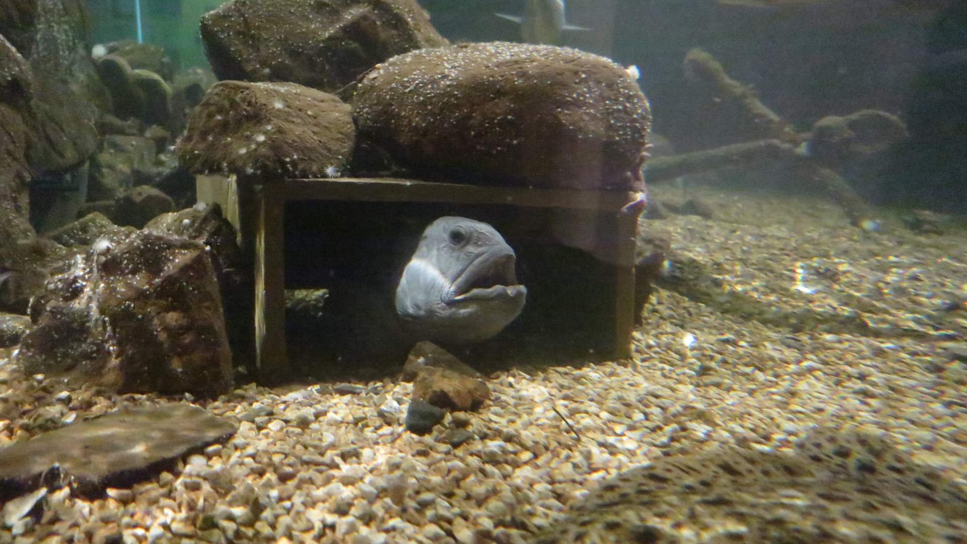 Drøbak Akvarium