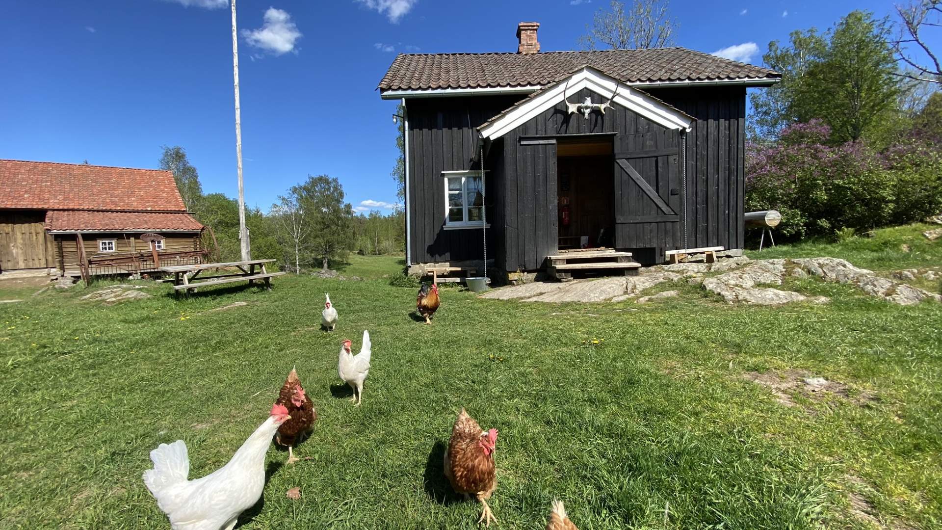 Bøensætre