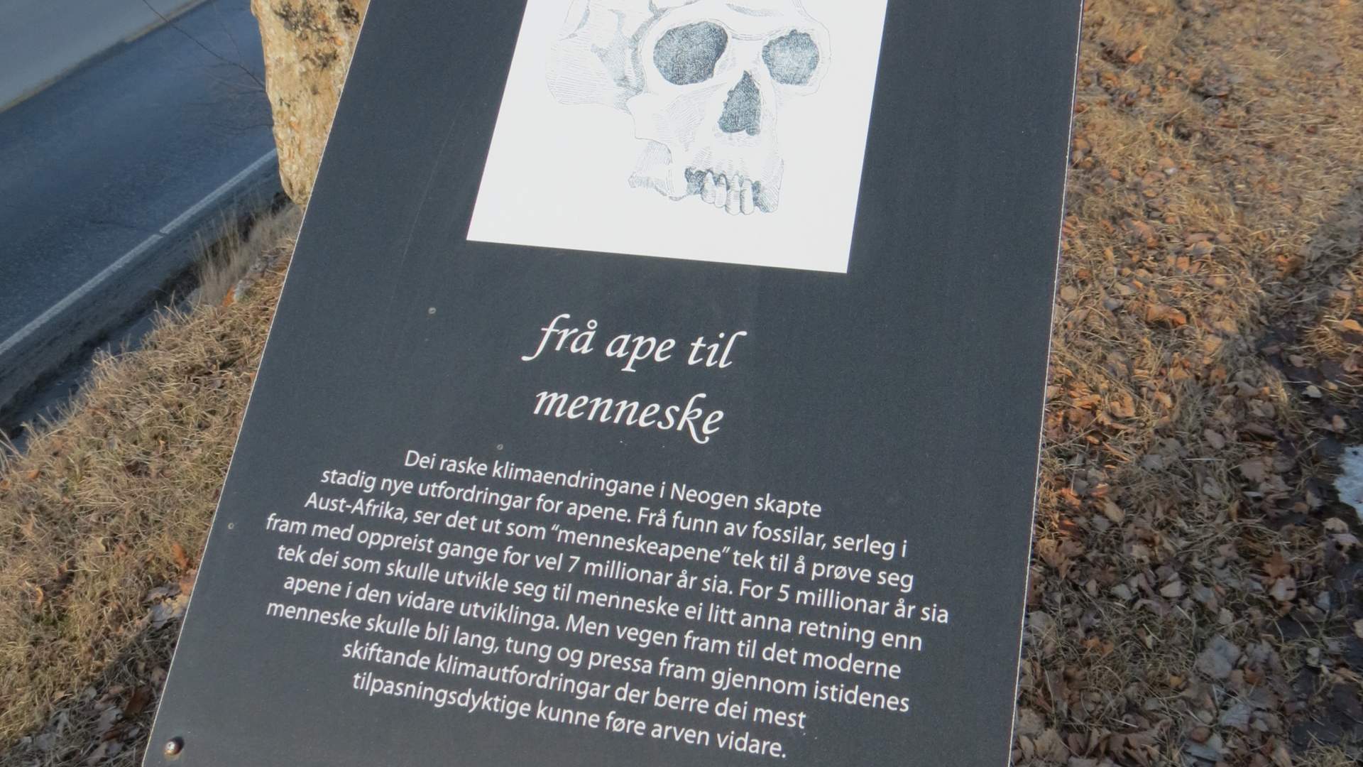 Tidsaksen_Fossheim steinsenter