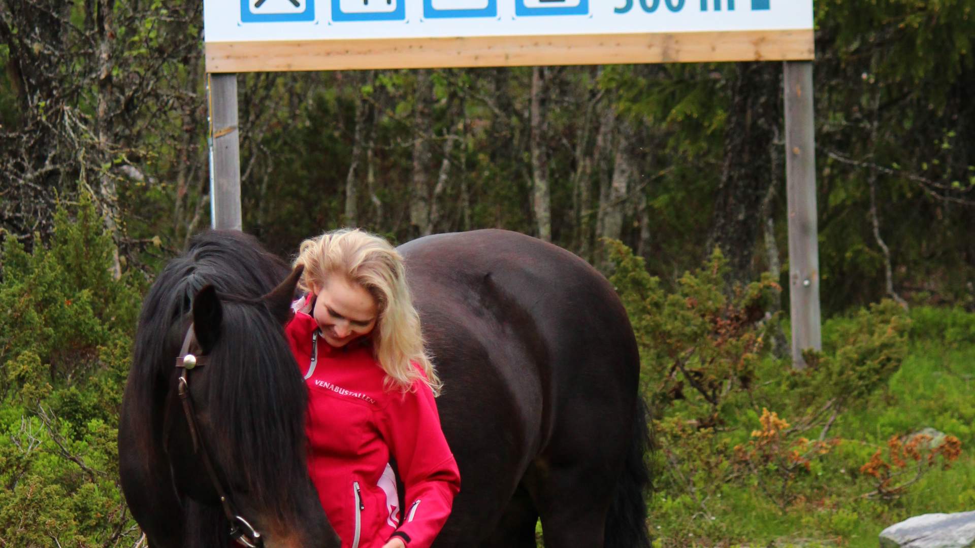 Horse and friend, Venabustallen